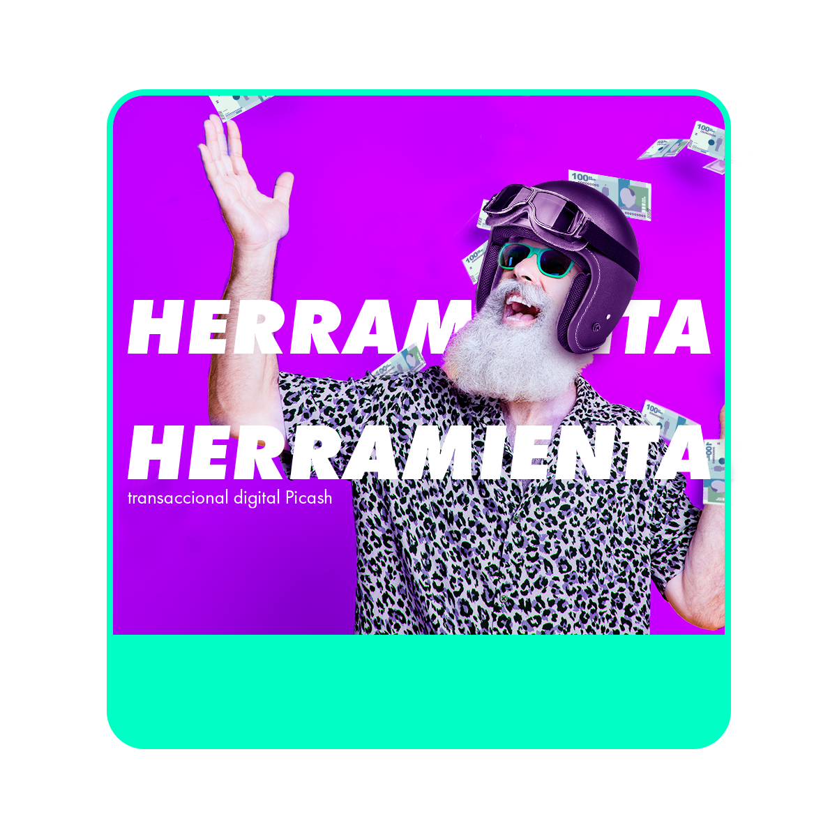 Herramienta transaccional digital Picash